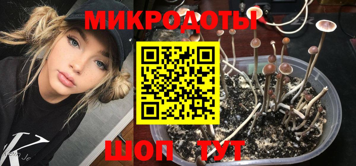 Губкин  Галлюциногенные грибы MAGIC MUSHROOMS  Вход с VPN  Псилоцибиновые грибы Psilocybe 